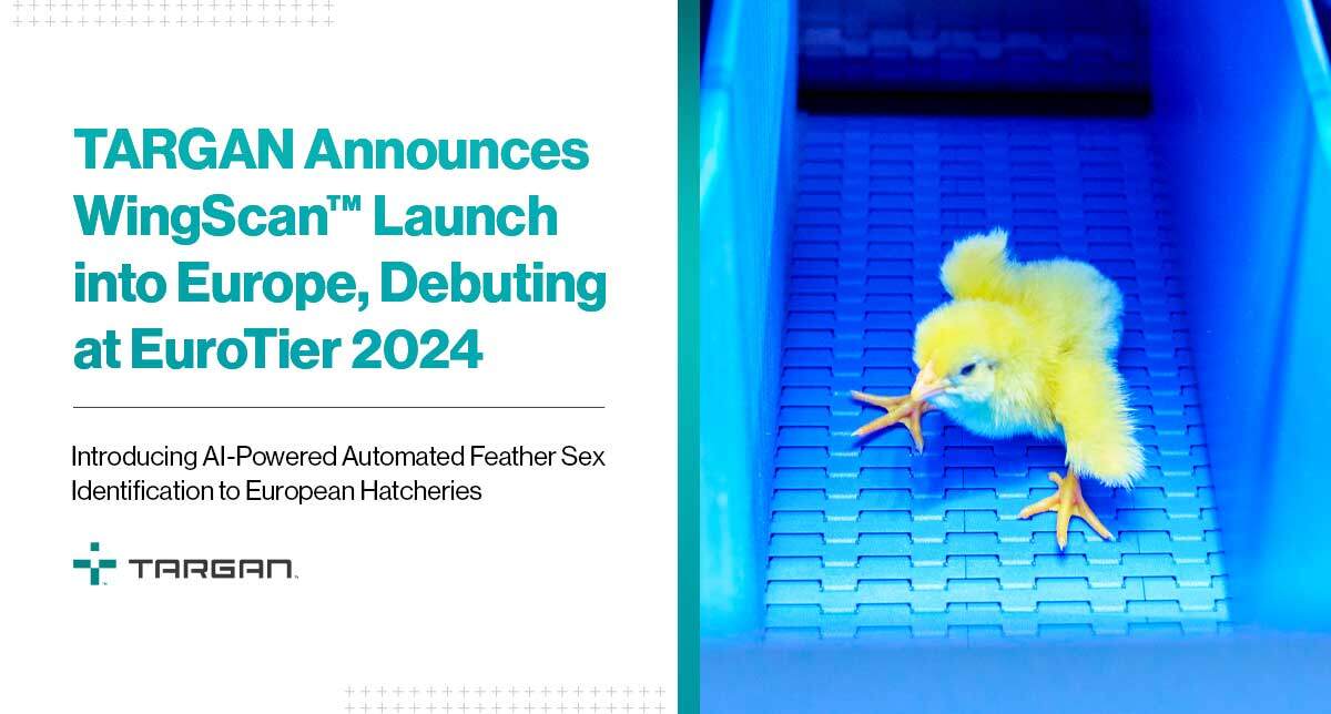 TARGAN announces European launch of automated feather sex identification system at EuroTier 2024